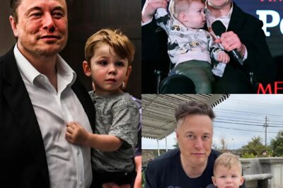 ELON MUSK SH0CKER: UFC 314 Fight Night with Son Explodes Online—You Won’t Believe What Happened!