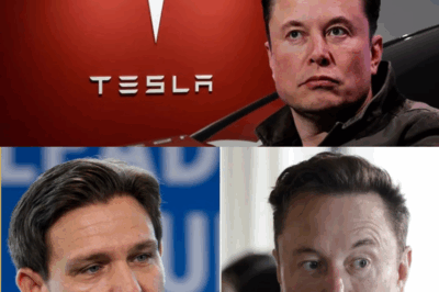 TOTAL SH0CK: France Just Crushed Tesla’s European Dream—Elon Musk Loses $138.9 Billion Overnight as Global Panic Sets In —See Why This Is Just the Beginning!
