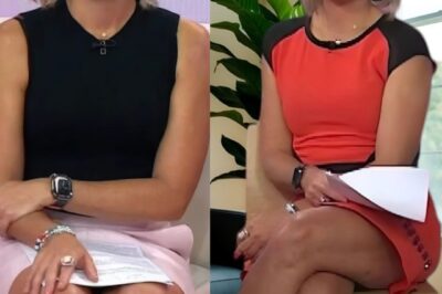 Dylan Dreyer’s Heartwarming Journey: The Personal Side of TV’s Favorite Meteorologist You Never Knew!