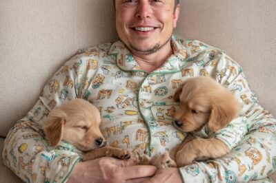 Elon Musk Reveals How Adopting Two Puppies Changed His Life—The Surprising Way They Help Him Combat Stress!