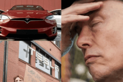 “How Long Can He Keep Them Quiet?” – Elon Musk Faces Mounting Investor Backlash as Tesla’s Profitability W0rsens