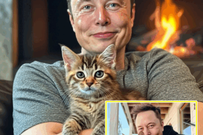 “They Keep Me Grounded”: Elon Musk’s Secret Love for Cats Reveals the Softer Side of the World’s Boldest Innovator