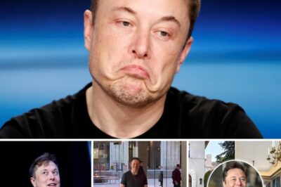 “Elon Musk Stuns Everyone with $200 Million Luxury Mansion Buy — The Surprising Reason Behind This Extravagant Purchase”