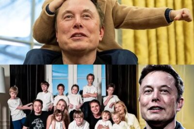“We’re Running Out of Time” — Elon Musk Calls on Families to Raise 3+ Children to Save Humanity