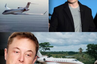 UNBELIEVABLE TWIST: Elon Musk’s Emergency Jet Landing Turns Into Life-Changing Moment for Remote Village