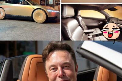 Elon Musk’s $30,000 Tesla Stuns the World: Fully Self-Driving, Zero Crashes, and Instant Profits? Experts Call It the “De:a:th Blow” to Gas-Powered Cars
