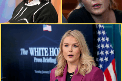 Karoline Leavitt’s Explosive Reply to ‘The View’ Leaves Viewers Stunned – ‘If I Wanted a Dose of Uninformed Chaos, I’d Turn on Your Show!’