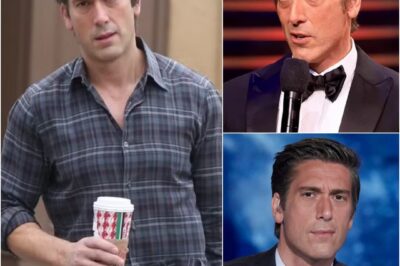 David Muir’s Sh0cking Confession on Live TV Leaves ABC News Reeling — What’s Next for Him?