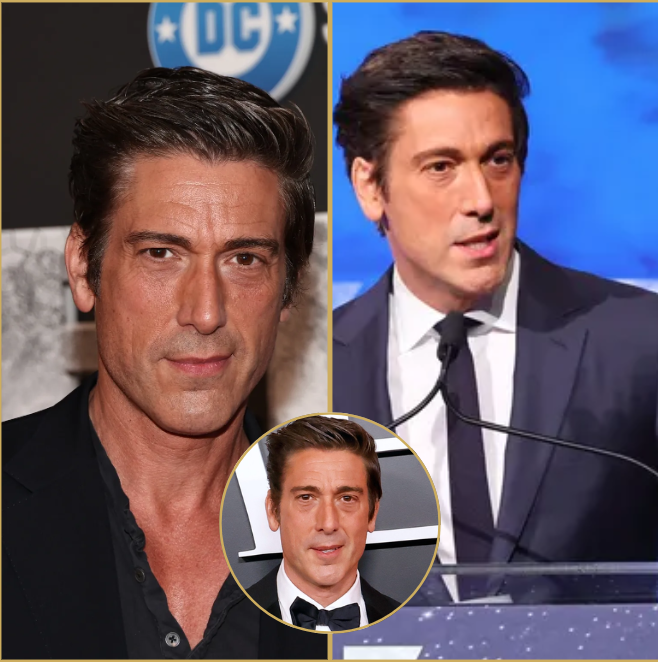 David Muir’s Quiet Confession Could Be the END of His ABC Career—Find