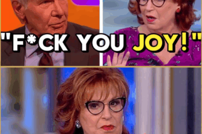 LIVE TV SH0CKER: Harrison Ford STORMS OFF The View After Fiery Showdown With Joy Behar