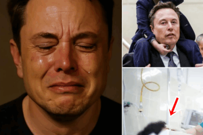 “HE’S JUST A LITTLE BOY”: Elon Musk Shares Emotional Update About Son Lil X That Leaves Fans in Tears and Prayer