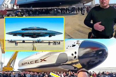 “This Changes Everything”: Elon Musk Unveils Hypersonic Spacecraft That Could Take You Anywhere on Earth in 1 Hour — And That’s Just the Beginning