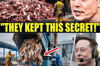 “If You Knew What Was Inside, You’d Never Touch It Again” — Elon Musk Reveals 15 Everyday Products You’ll Stop Buying After Learning What They’re Made Of