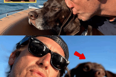 5 MINUTES AGO! David Muir 1st Shares About His Hiking Adventures with His Beloved Dog on Live TV, But Wait… Everyone SPOTTED a Sh0cking DETAIL!