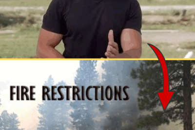 BREAKING: David Muir Receives Widespread Praise for Emotional Coverage of Arizona Wildfires – A Heartfelt Look at the Grand Canyon Destruction