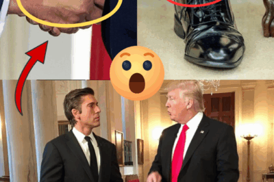 “SWOLLEN ANKLES & B:RUISED HANDS” — David Muir DROPS BOMBSHELL Update on Trump’s H:ea/lth as White House Rushes to Defend President’s Condition 😳👇