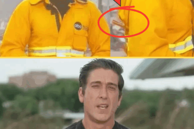David Muir’s Fitted Tees, Pegged Jackets & Viral Biceps Spark Viewer Backlash — But He Finally Breaks His Silence