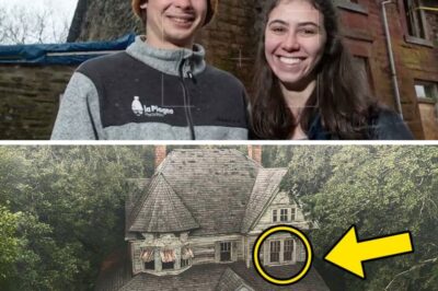 A Forgotten Mansion, A Sealed Room, and Secrets No One Was Meant to Find