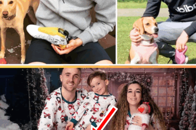 💔🐾 “The Video That Left Fans in Tears: Diogo Jota’s Two Beagles Refuse to Eat, Waiting Day After Day for Something Heartbreakingly Beautiful”