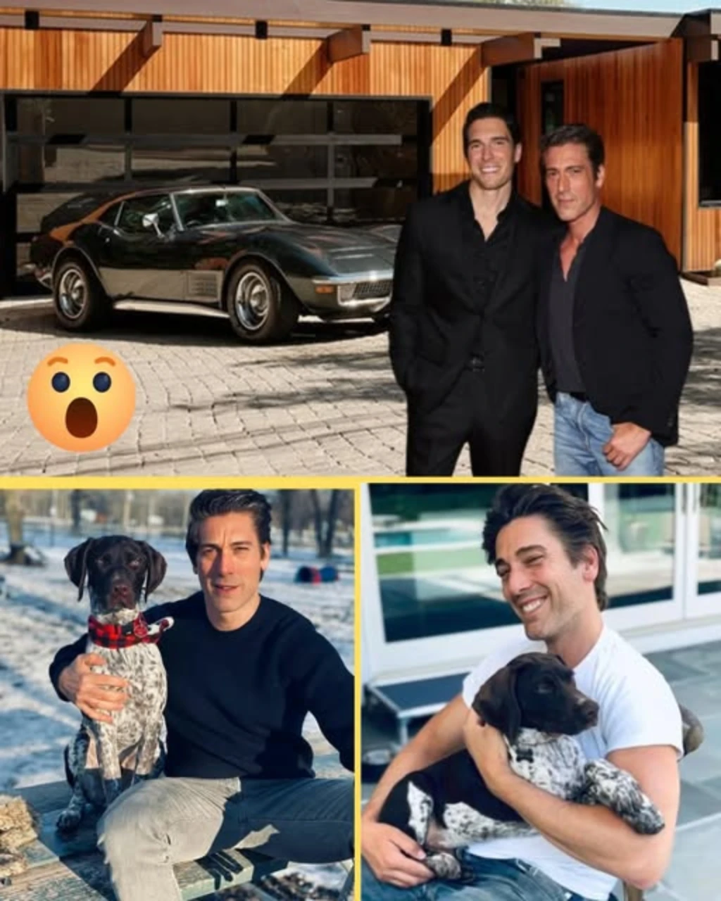 The Untold Story of David Muir From Ambitious Teen to 20M Net Worth