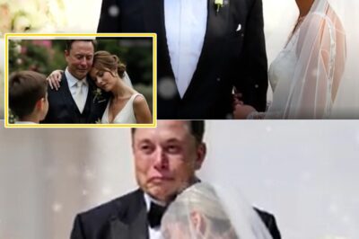 Tears on the Sand: Elon Musk’s Secret Wedding Turns Emotional as His Son Delivers a Heartfelt Message That Leaves Every Guest Silent