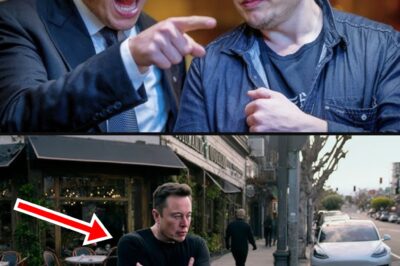 “They Told Elon Musk He Wasn’t Welcome — Then He Bought the Entire Building” — Sh0cking Incident at Luxury Hotel Sparks Outrage, Power Move from Billionaire Leaves Everyone Speechless