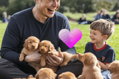 Elon Musk’s Softer Side: Billionaire Tech Titan Melts Hearts Playing with His Son and a Pack of Puppies in a Rare, Joyful Family Moment