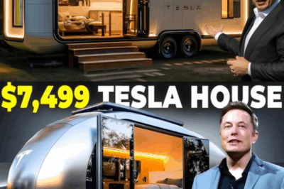 $5,579 Tesla Tiny House STUNS the World: Elon Musk’s Storm-Proof Invention Built to Survive Category 5 Hurricanes!