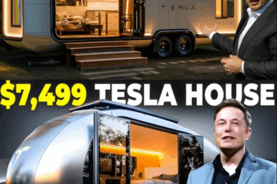 Elon Musk’s $5,579 Tesla Tiny House: Built With SpaceX Aerogel Composite — A Hurricane-Proof, Disaster-Resistant Marvel That Redefines Sustainable Living
