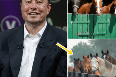 BREAKING NEWS: Elon Musk Unveils “Freedom Ranch” — A $6 Million, 150-Acre Sanctuary to Rescue and Protect Abandoned Horses
