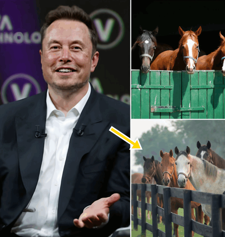 BREAKING NEWS: Elon Musk Unveils “Freedom Ranch” — A $6 Million, 150 ...