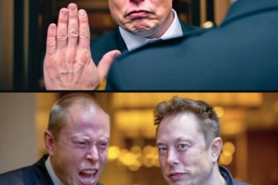 ELON MUSK TURNED AWAY AT ELITE CLUB: What the Billionaire Did Next Sparked Sh0ckwaves Across the Internet
