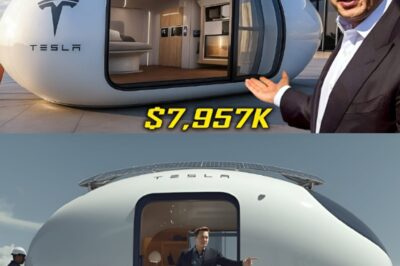 Elon Musk’s $7.9M Tesla Tiny House Shocks the Market — Luxury, Sustainability & High-Tech Living in One Bold Package