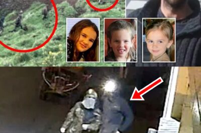 “THE BUSH WAS HIS ONLY ALLY” — Hau-nting Local Theories Emerge on How Fugitive Father Endured 4 Years in NZ Wilderness Before De-adly Sh00tout
