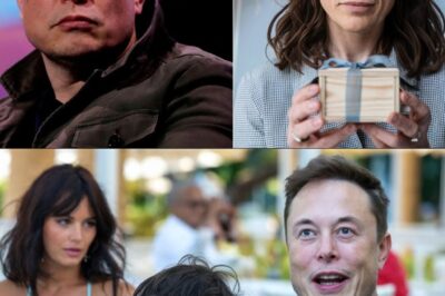 SURPRISE AT MAYE MUSK’S BIRTHDAY 🎉 Elon Musk’s Ex Makes Sh0cking Appearance — And the Unexpected Gift She Brought Left the Family Stunned
