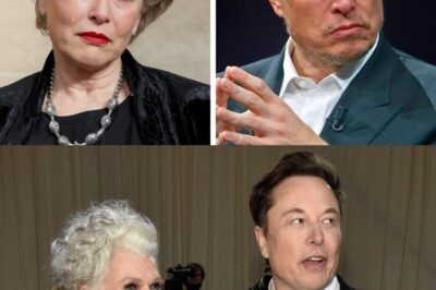 They Told Elon Musk’s Mother to Leave the Room — What Happened Next Left Billionaire Investors Speechless, Sparking a Debate About Power, Family, and Respect in Silicon Valley