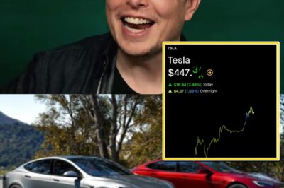 ELON MUSK FIRES BACK — Tesla CEO Trolls Wall Street Doubters as Stock Soars 23% in Just One Month, Leaving Skeptics Red-Faced