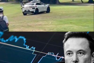IF THIS WERE TESLA, IT WOULD BE CARNAGE! Waymo Scrambles to Defend Itself After Sh0cking Video Sparks Safety Backlash Over Self-Driving Tech