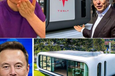 ELON MUSK’S $12,000 HOUSE: The Tiny Home That Could Reshape the Future of Living