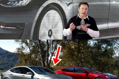‘STUCK IN THE PAST!’ — Lucid CEO Takes Aim at Tesla Model S, Claiming It Hasn’t Changed in 12 Years