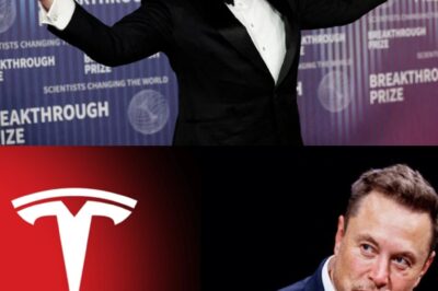 STARLINK DROPS R3 BILLION BOMBSHELL IN SOUTH AFRICA: Elon Musk’s Satellite Empire Buys Radio Wave Licenses to Launch Mobile Services, Threatening to CRUSH Old Networks and Revolutionize How an Entire Nation Connects