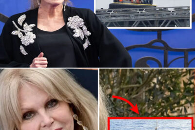 One Comment and the World Reacts — Joanna Lumley Sparks Global Debate Over Migration Policies!