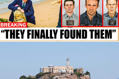 History Sh0ck: The 1962 Alcatraz Escape Case Is Solved After 55 Years — The Ending No One Saw Coming