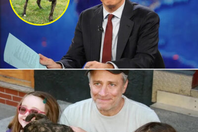 From Comedy to Compassion: Jon Stewart Honors Late Dog Dipper With a $1 Million Shelter Donation