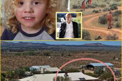 Seventeen Days and Still No Gus: Disturbing New Lead Sends Police Back Into the Wilderness Amid Growing Fears Something Was Missed