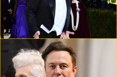 ‘He’s Not Just a Billionaire, He’s My Son’: Elon Musk’s Mother Shares Emotional Message About the Man Behind SpaceX, Tesla, and a Lifetime of Genius