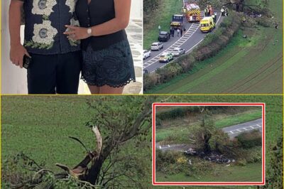 Trag-edy Behind the Fireball: Ex-Aviva CEO’s Final Moments Revealed — Witnesses Say He Was ‘Deeply Distressed’ Before His Aston Martin Ploughed Into a Tree