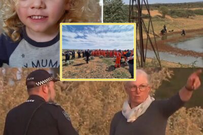 Family REFUSES To Believe 4-Year-Old Gus Lamont Is Gone Forever — A HEARTBREAKING New Revelation Hints He May Still Be Out There