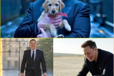Elon Musk’s Blizzard Rescue Went Horribly Wrong — The ‘Puppy’ He Saved Turned Into a Terrif-ying M0nster