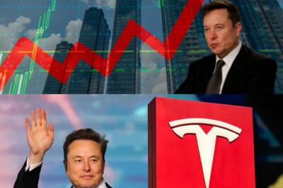 ELON MUSK REWRITES FINANCIAL HISTORY WITH $500B NET WORTH — The First Half-Trillionaire Is Here